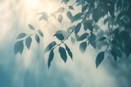 Sunlight gently streams through the leaves, illuminating the area with a calming, peaceful glow.の写真素材