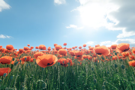 A field is filled with bright orange poppies swaying gently in the breeze beneath a sunny sky.の写真素材