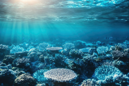 Colorful corals and marine life flourish in the depths of a sunlit ocean, showing underwater biodiversity.の写真素材