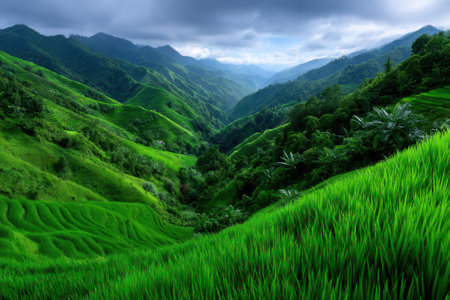 Vivid green rice terraces curve along steep hillsides under a cloudy sky, showcasing nature's beauty and tranquility.の写真素材