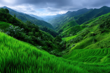 Vivid green rice terraces curve along steep hillsides under a cloudy sky, showcasing nature's beauty and tranquility.の写真素材
