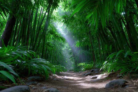 A serene pathway invites exploration through a lush bamboo forest illuminated by soft sunlight.の写真素材