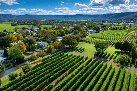 An aerial view of a vineyard and small town nestled in a valleyの写真素材
