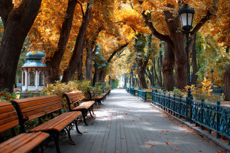 Empty park path lined with benches and trees displaying golden autumn leavesの写真素材