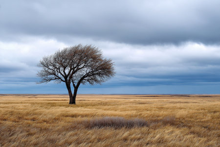 A solitary tree is prominently placed in vast, golden grassland beneath dramatic, cloudy skies during twilight.の写真素材