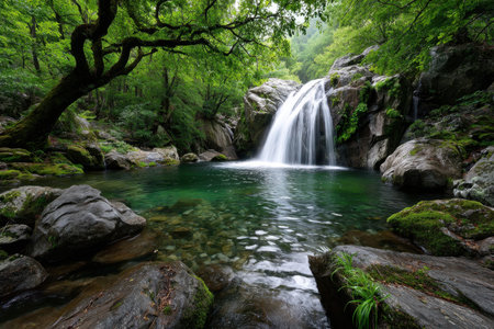 A waterfall cascades into a clear green pool in a lush forestの写真素材