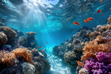 Colorful coral reef teeming with fish under a sunlit ocean surfaceの写真素材