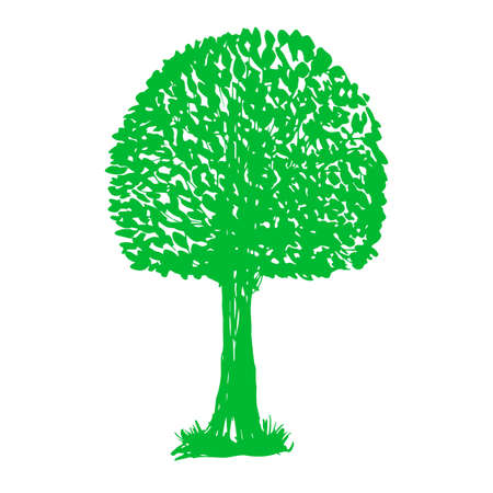 Vector Green Tree in Silhouette Style. Sketchy Single Plant Isolated on White Background.のイラスト素材