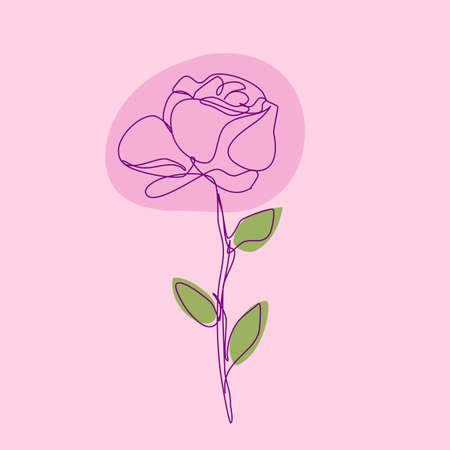 Elegant Rose in Continuous Line Drawing Isolated on Pink Background. Sketchy Flower. Vector Outline Simple Artwork with Editable Stroke.のイラスト素材