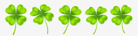Lucky clover leaf set in realistic style. Cartoon single shamrock.のイラスト素材