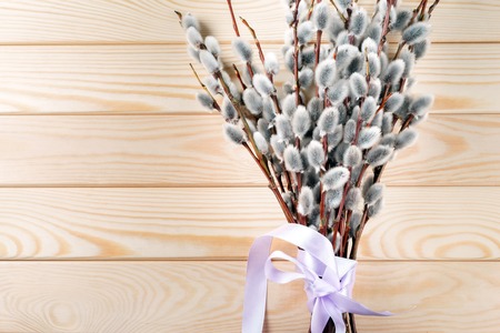 Willow branches with catkins on natural wood from above. free text spaceの写真素材