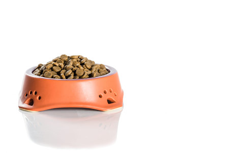 Ceramic bowl with dried pet food isolated on white backgroundの写真素材