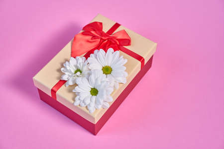 gift box white daisies on rose backgroundの写真素材