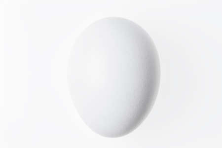 White on white, egg on white backgroundの写真素材