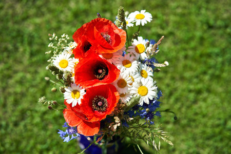 Bouquet bunch wild flowers chamomile poppy cornflower rye green grass backgroundの写真素材