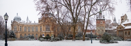 Castle of Vajdahunyad, Budapestのeditorial素材