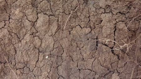 Dry cracked earth background. Dried soil texture. Natural background.の写真素材
