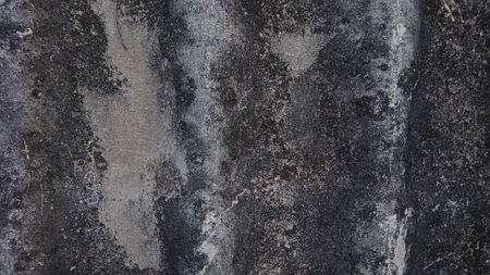 Grunge cement wall texture. Abstract background and texture for design.の写真素材