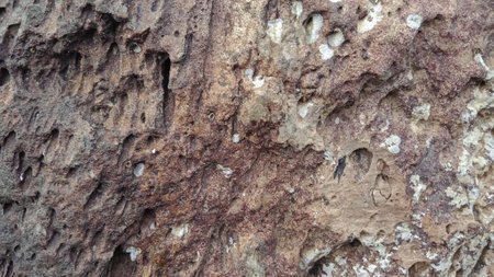Close up of natural stone texture background. Natural rock texture background.の写真素材