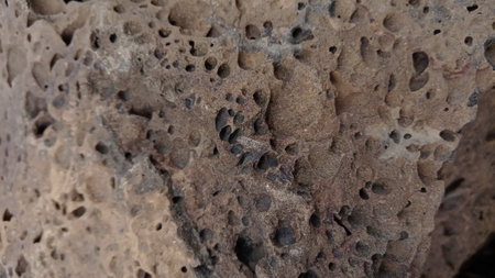 close up of a rock with holes in the italian coast.の写真素材