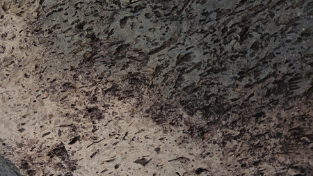Close-up of rock texture. Abstract background and texture for design.の写真素材
