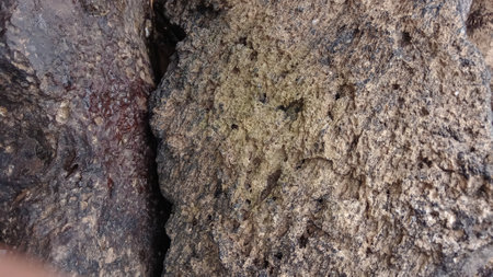 Close-up of the texture of the stone. Texture background.の写真素材