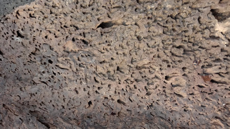 The texture of the surface of the stone. The surface of the stone.の写真素材