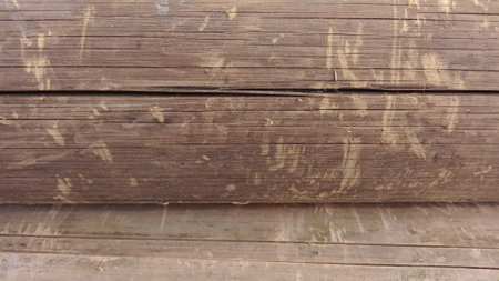 Old wood texture. Abstract background for design with copy space for text or image.の写真素材