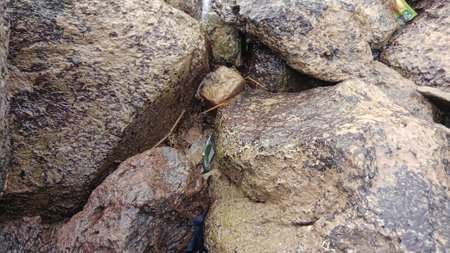 Close-up of a pile of rocks in the rain, natural backgroundの写真素材