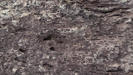 Close-up of the texture of the rock. Natural background.の写真素材