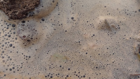 Soap bubbles on the sand. Soap bubbles on the beach.の写真素材