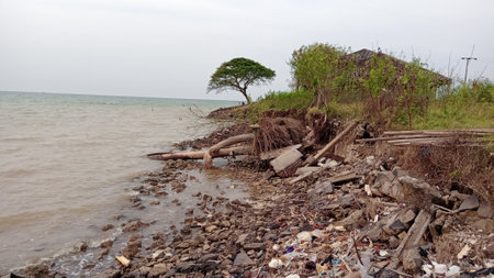Polluted lake with garbage and trees. Ecological disaster in Asia.の写真素材