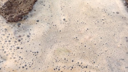 Foam on the beach.の写真素材