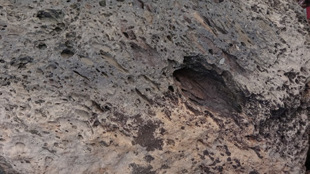Natural  rock or Stone  surface as  background texture close upの写真素材