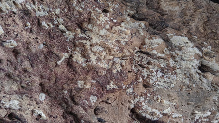 Close up of stone texture background. Natural pattern of rock surface.の写真素材