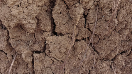 Dry soil texture background. Close up of dry soil texture.の写真素材