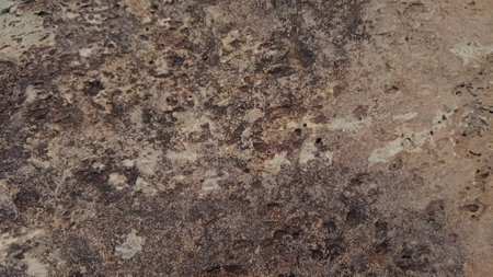 The texture of the stone is brown. The surface of the stone.の写真素材