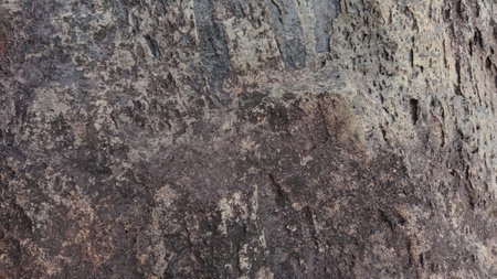 Close up of rock texture background. Abstract background of rock texture.の写真素材