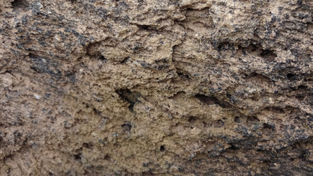 Natural  rock or Stone  surface as  background texture close upの写真素材