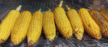 Grilled corn on the grill in the street food market in Thailandの写真素材