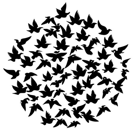 Majestic Flight of Birds in a Serene Silhouette on a Clear White Backgroundのイラスト素材