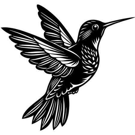 Hand Drawn Silhouette of a Hummingbird in Flight with Wings Extendedのイラスト素材