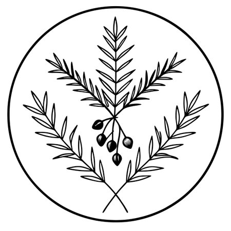 Hand-Drawn Juniper Floral Logo and Branch Set with Intricate Detailsのイラスト素材