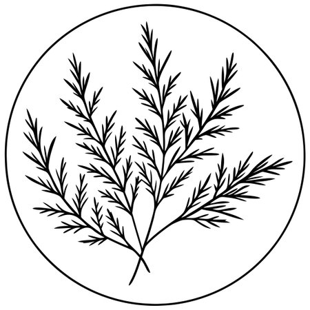 Juniper Floral Logo and Branch Set with Hand Drawn Line Artのイラスト素材