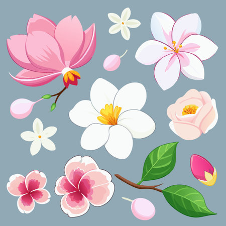 Delicate Collection of Cherry Blossom and Orchid Flowersのイラスト素材