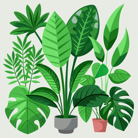 Luxuriant Set of Exotic, Big-Leafed Green Houseplants for Interior Decorのイラスト素材
