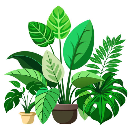Captivating Interior Greens: A Lush Assemblage of Exotic Big Leaf Houseplantsのイラスト素材