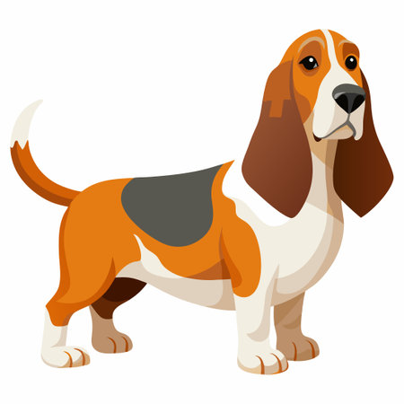 Isolated Basset Hound Dog on White Background Vector Illustrationのイラスト素材