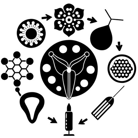 Comprehensive Guide to Hormonal Birth Control Devices and Methods for Women's Reproductive Healthのイラスト素材