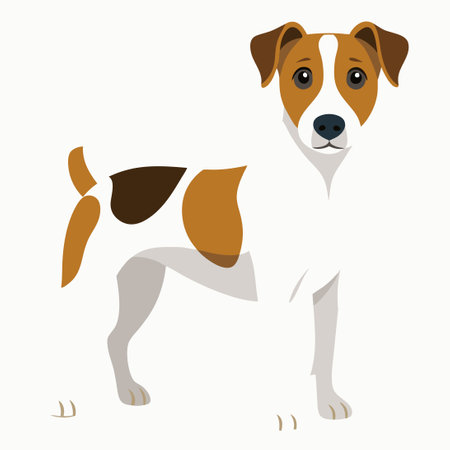 Isolated Jack Russell Terrier Dog with White Background in Vector Formatのイラスト素材